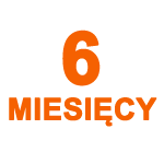 PAKIET "PREMIUM PLUS" 6 MIESIĘCY | PONAD 130+ POLSKICH KANAŁÓW + 80 KANAŁÓW USA | WIDEOTEKA | MULTIROOM NA 5 URZĄDZENIACH | ARCHIWUM NA NA WSZYSTKICH KANALACH | 30 KANAŁOW EROTYCZNYCH + AMAZON Fire TV Stick ZA DARMO